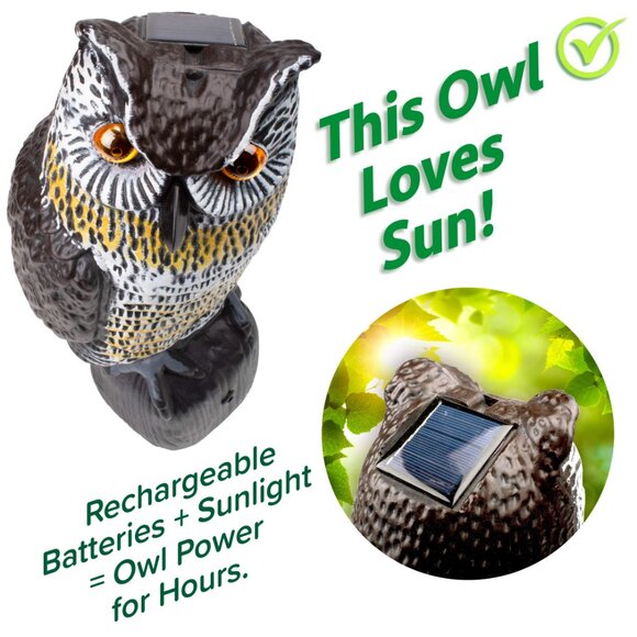 Lifelike Owl Decoy Rotating Head Outdoor Garden Repellent Bird Scare Repellence - Picture 5 of 6